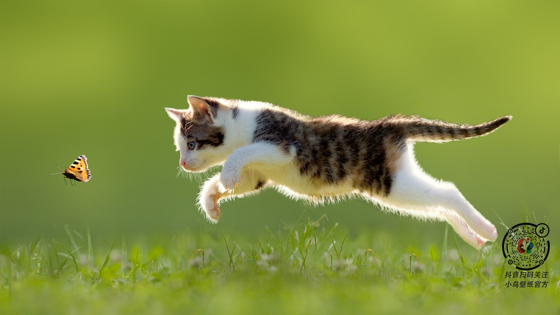 _快船迎难而上,追逐更高排名_,快船名单