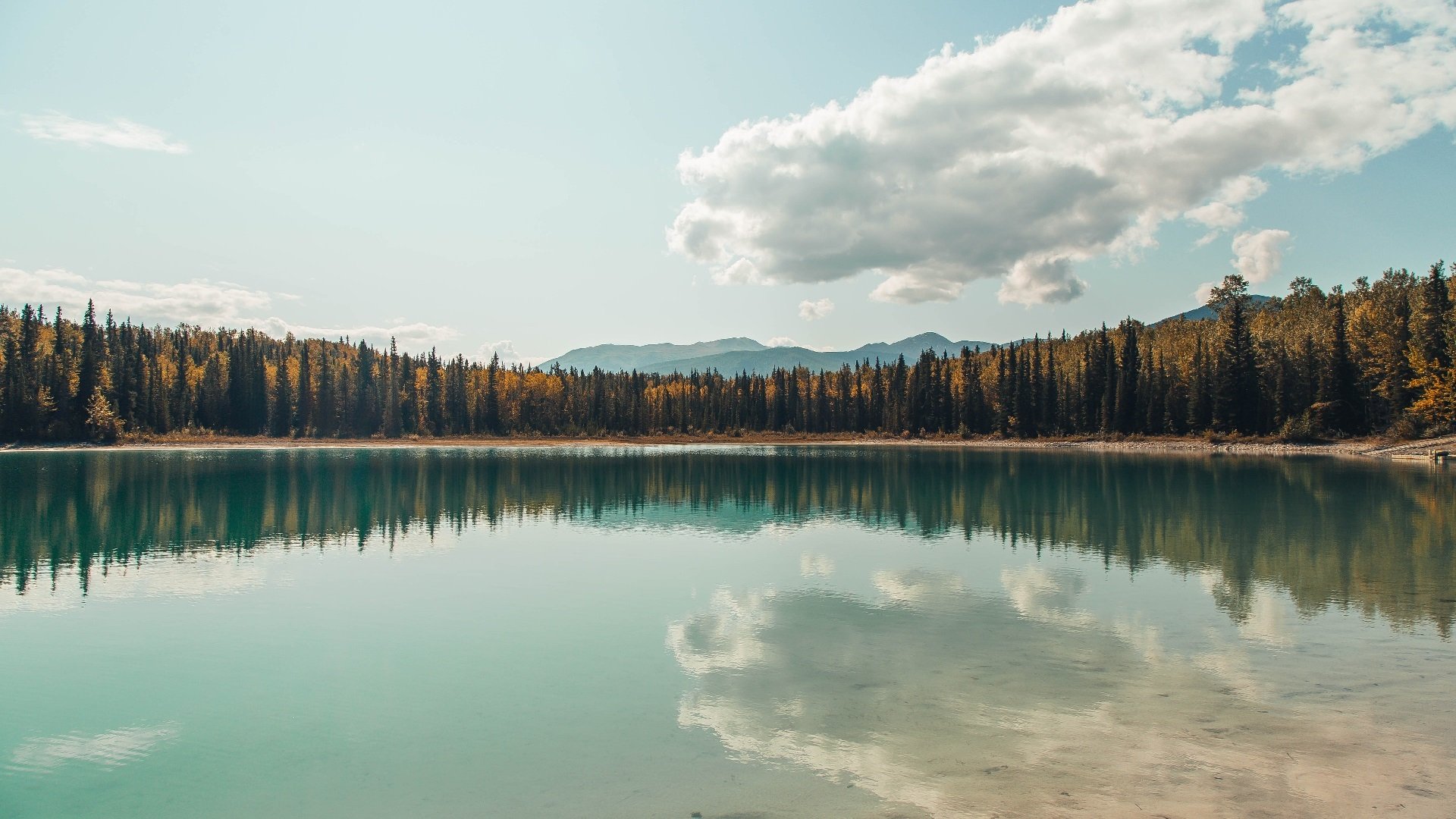 _湖人激战连连,誓夺季后赛门票_,湖人比赛2021年