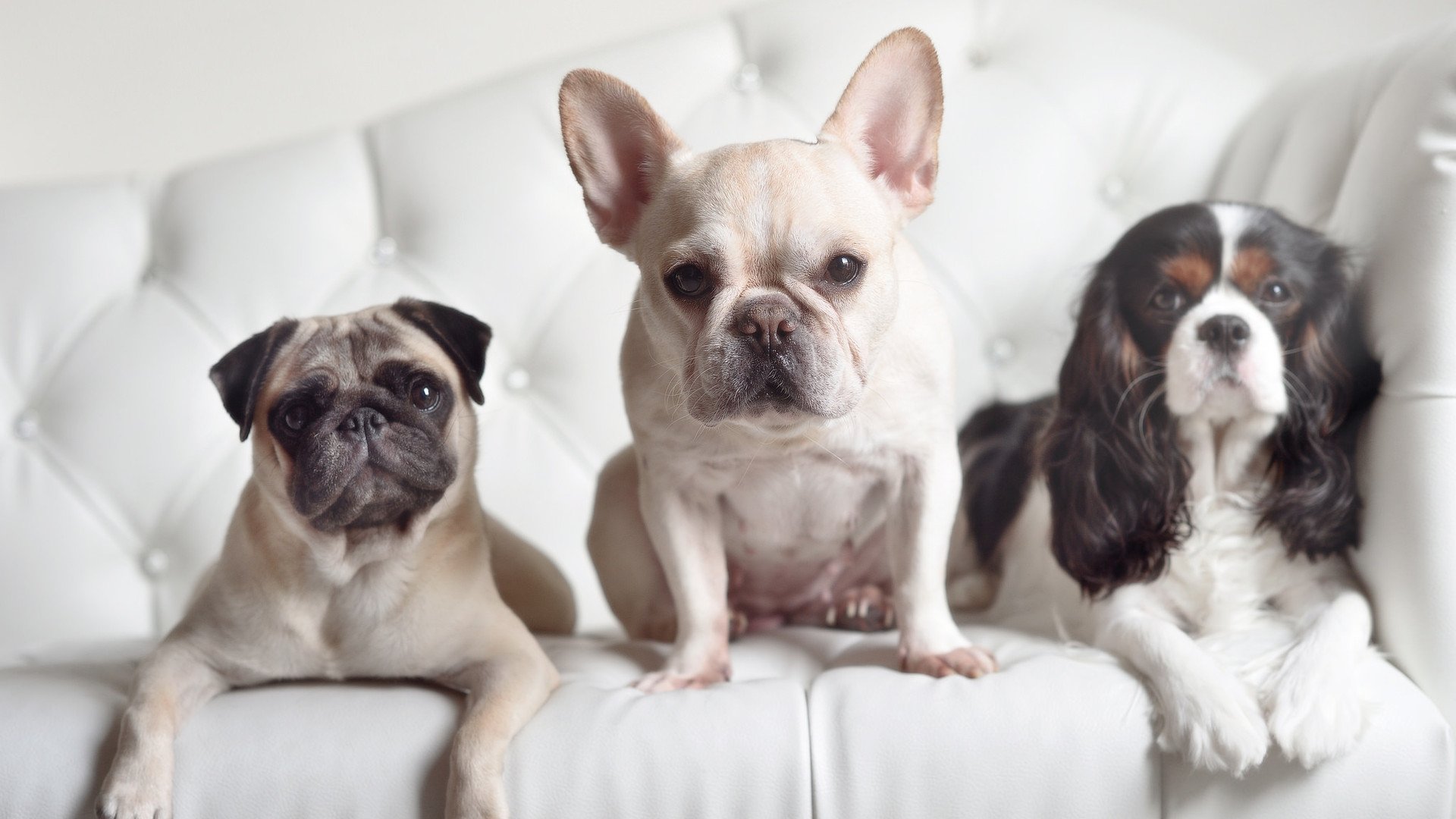 _湖人士气回暖,期待迎来胜利高潮_,湖人官方好消息