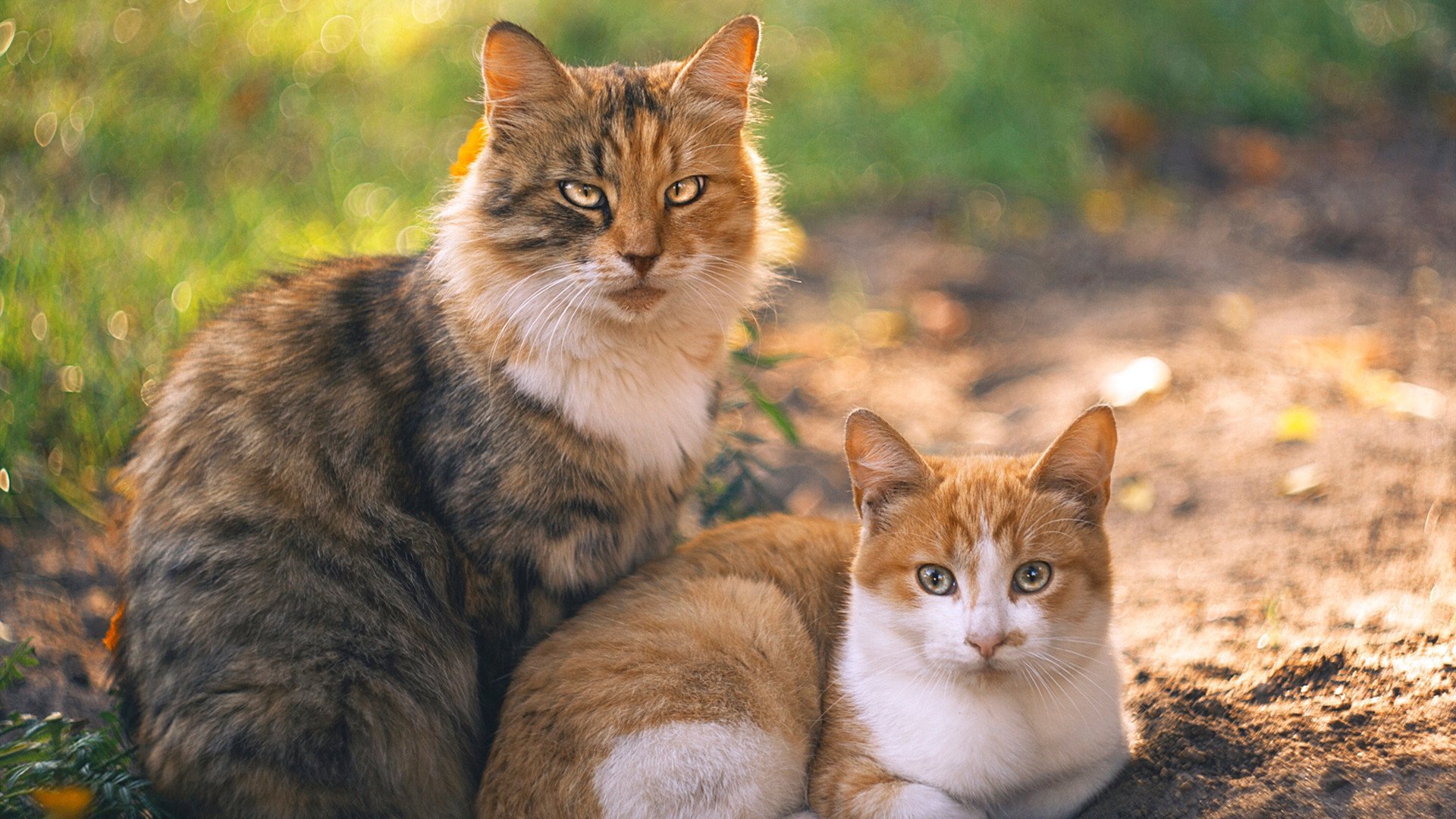 2025世俱杯-_马刺队未来可期，年轻球员潜力尽显_，马刺球员2021