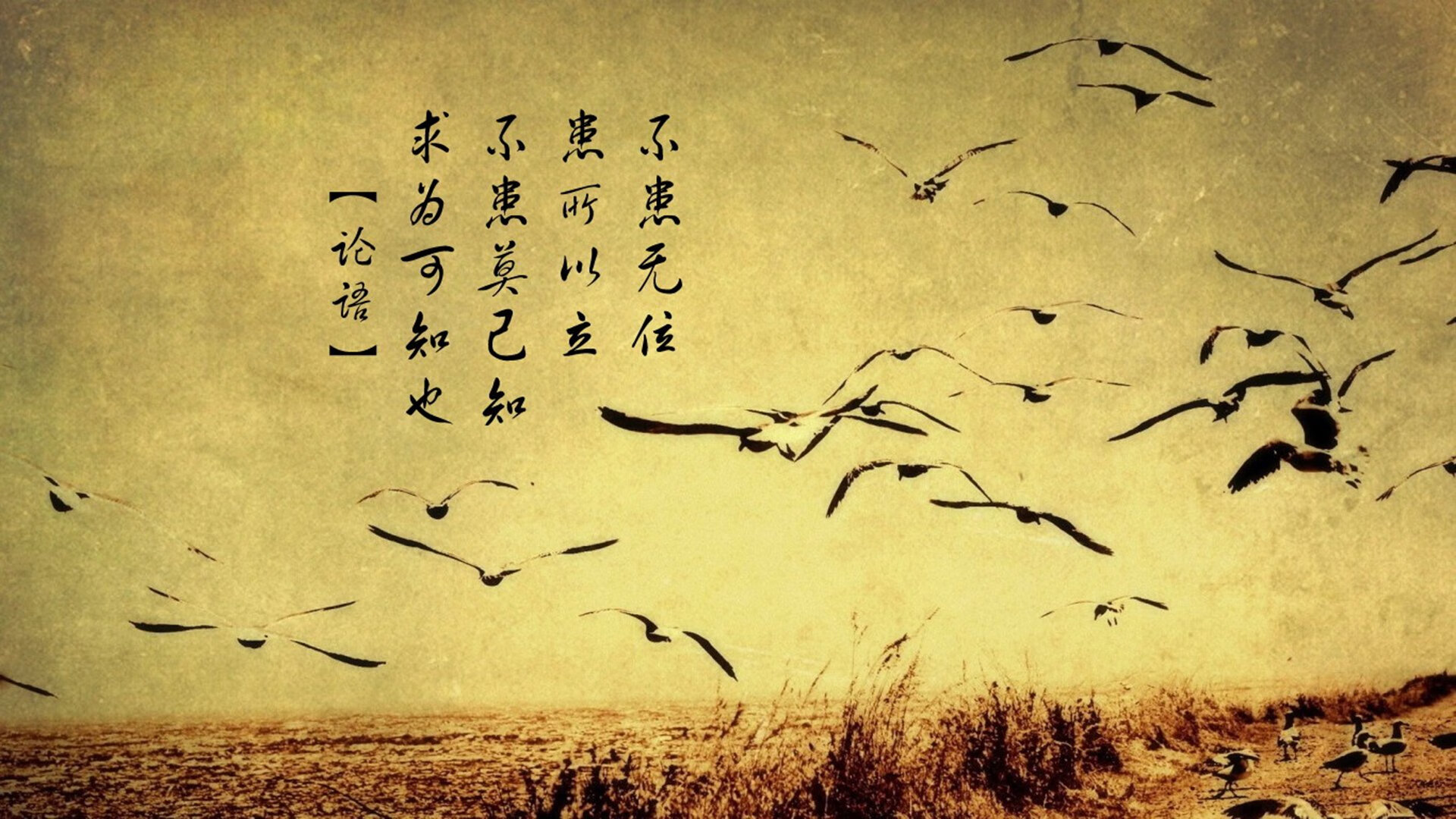 “英超末段发力,争冠集团凝聚实力”,英超夺冠规则