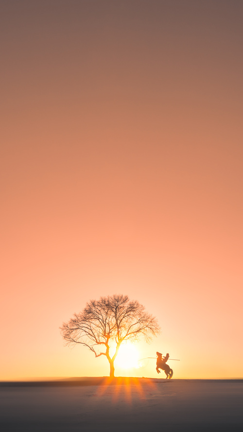 “青春信仰”青少年篮球公益传递活动在成都持续火热,篮球公益项目