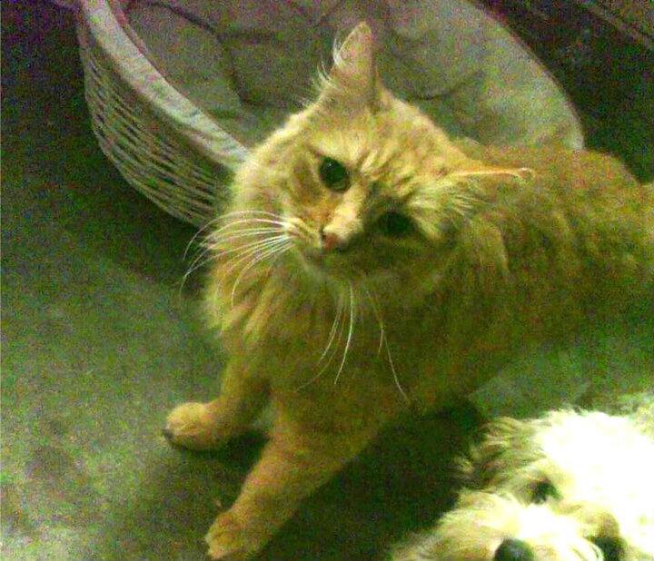 亚洲电视直播现场热闹非凡,观众沸腾不已,亚洲电视a1台2021年