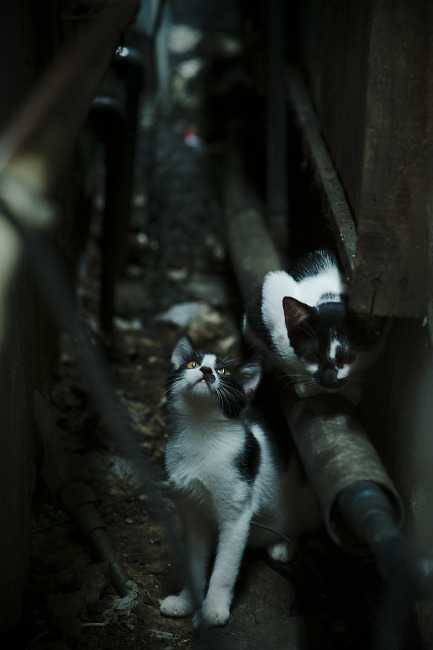 2025世俱杯赛程表-专家点评：赛后分析与未来趋势，赛后集锦