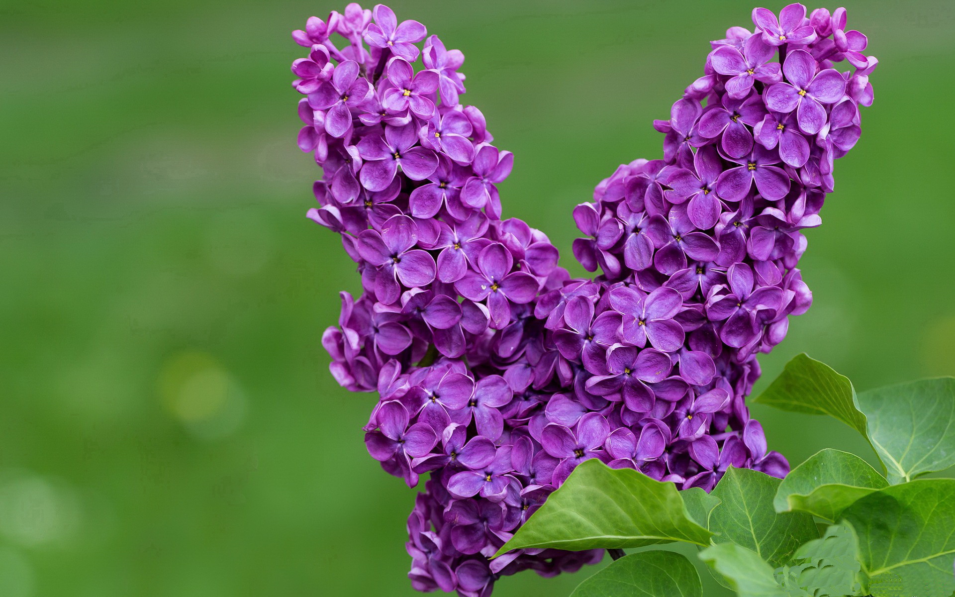 专家点评:赛后分析与未来趋势,赛后集锦