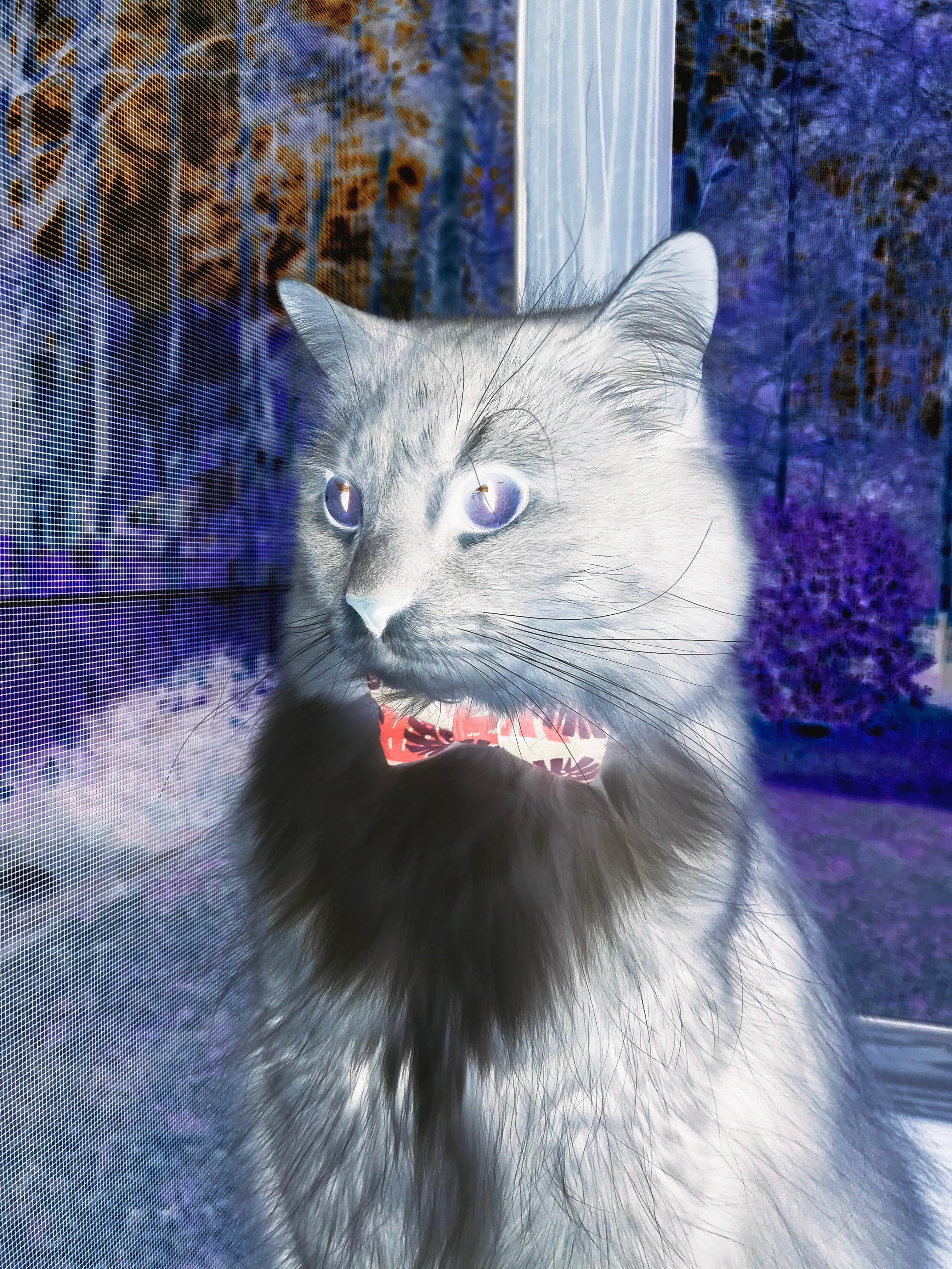 中国足球数据平台上线服务各级球队,中国足球资料网