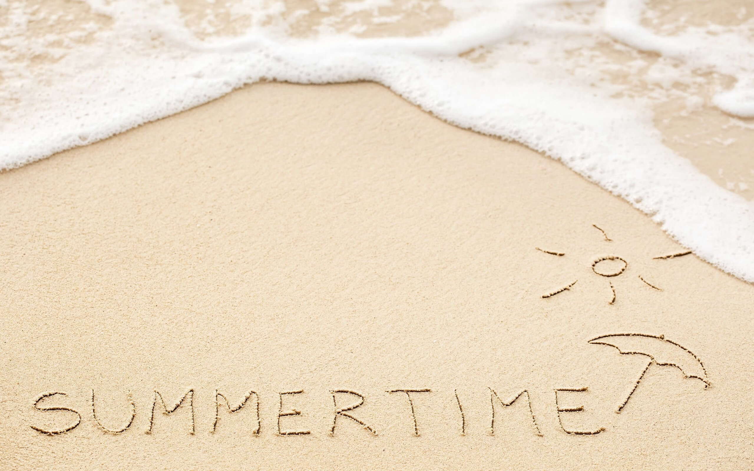 传统武术套路表演,文化与运动融合展演,武术传统套路选编