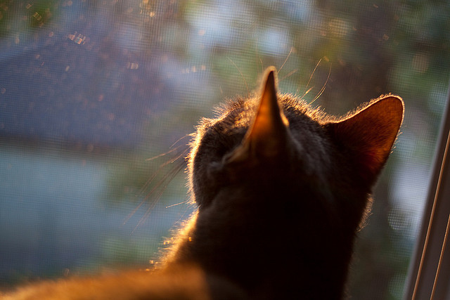 天气预报影响中超比赛,赛程调整引关注,中超预测今天