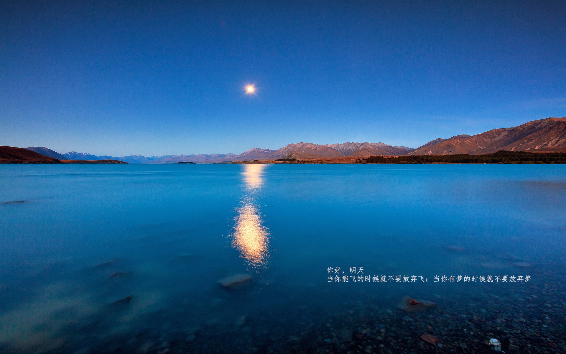 太阳小前锋打破联盟罚球连续命中纪录,小前锋罚球命中率排行榜