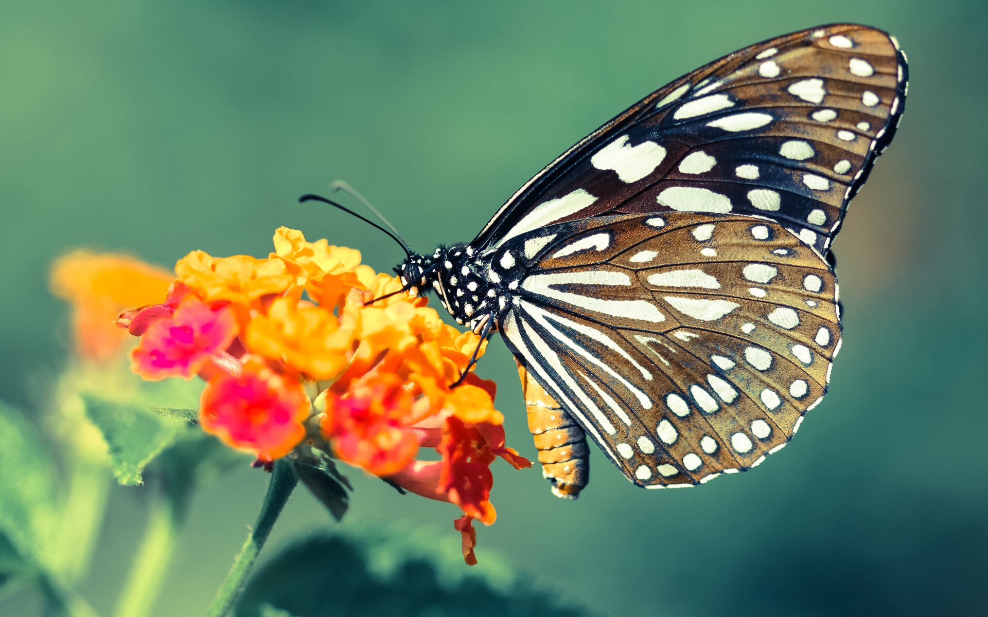 电竞与科技领域的紧密结合:技术驱动,体验升级,电竞与游戏