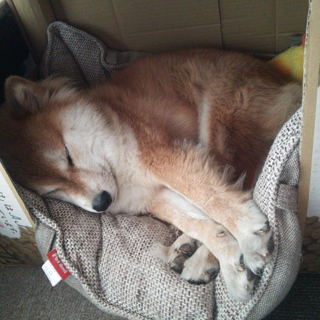 世俱杯-皇马凭借关键绝杀战胜巴萨，西甲争冠悬念再提，皇马剩下的对阵