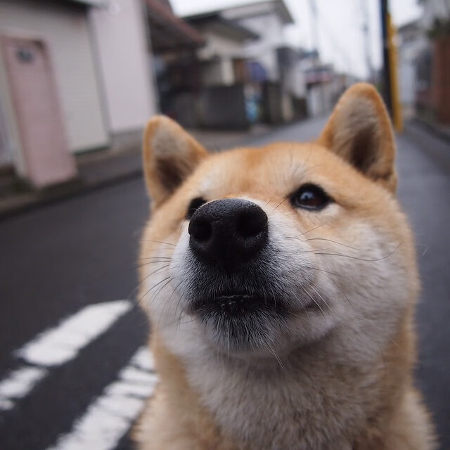 世俱杯网址-科比：无数经典时刻，永远铭刻在篮球史册！，科比 致敬