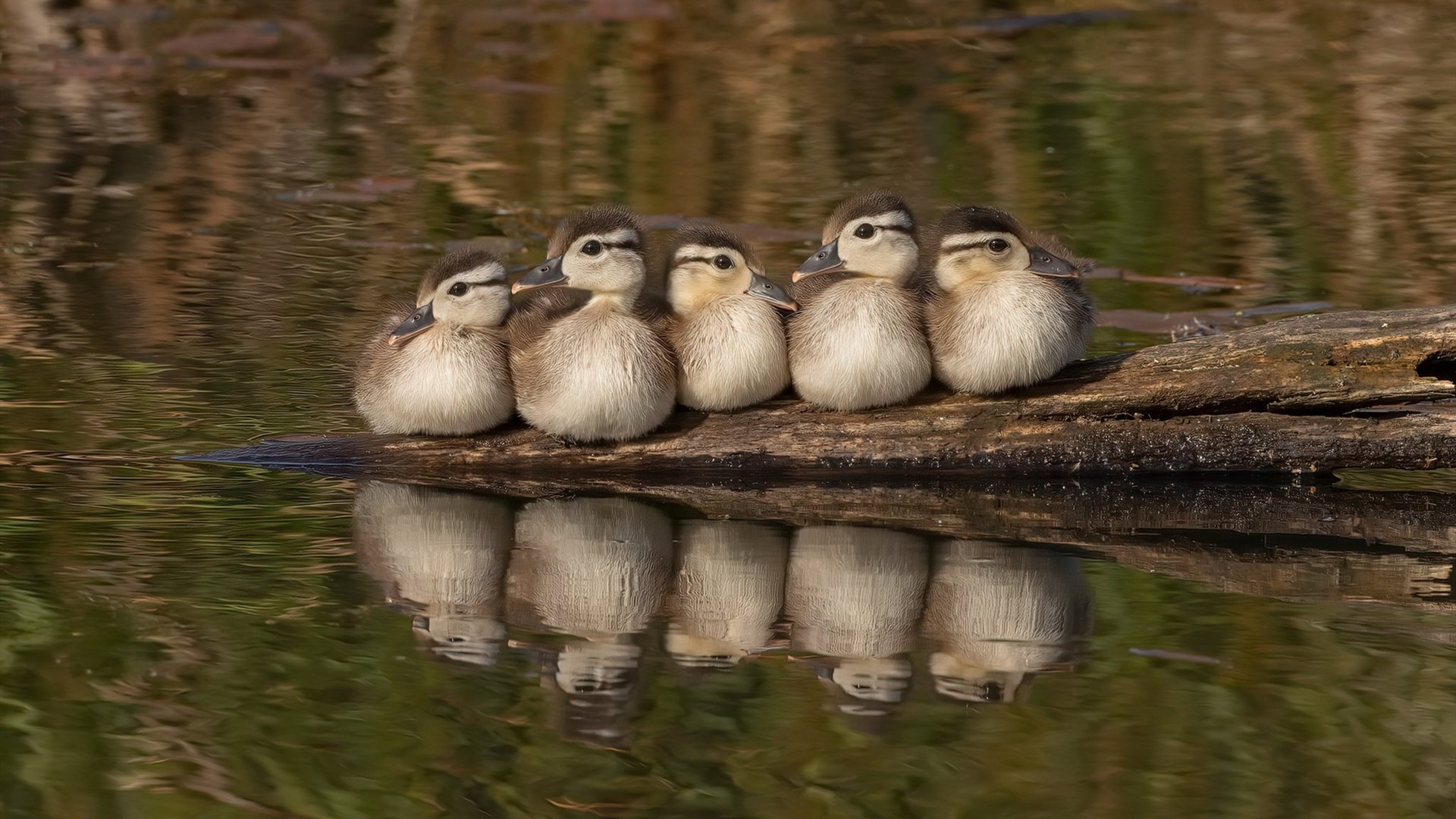 青训基地建设提速,完善硬件设施,青训学校主要学什么