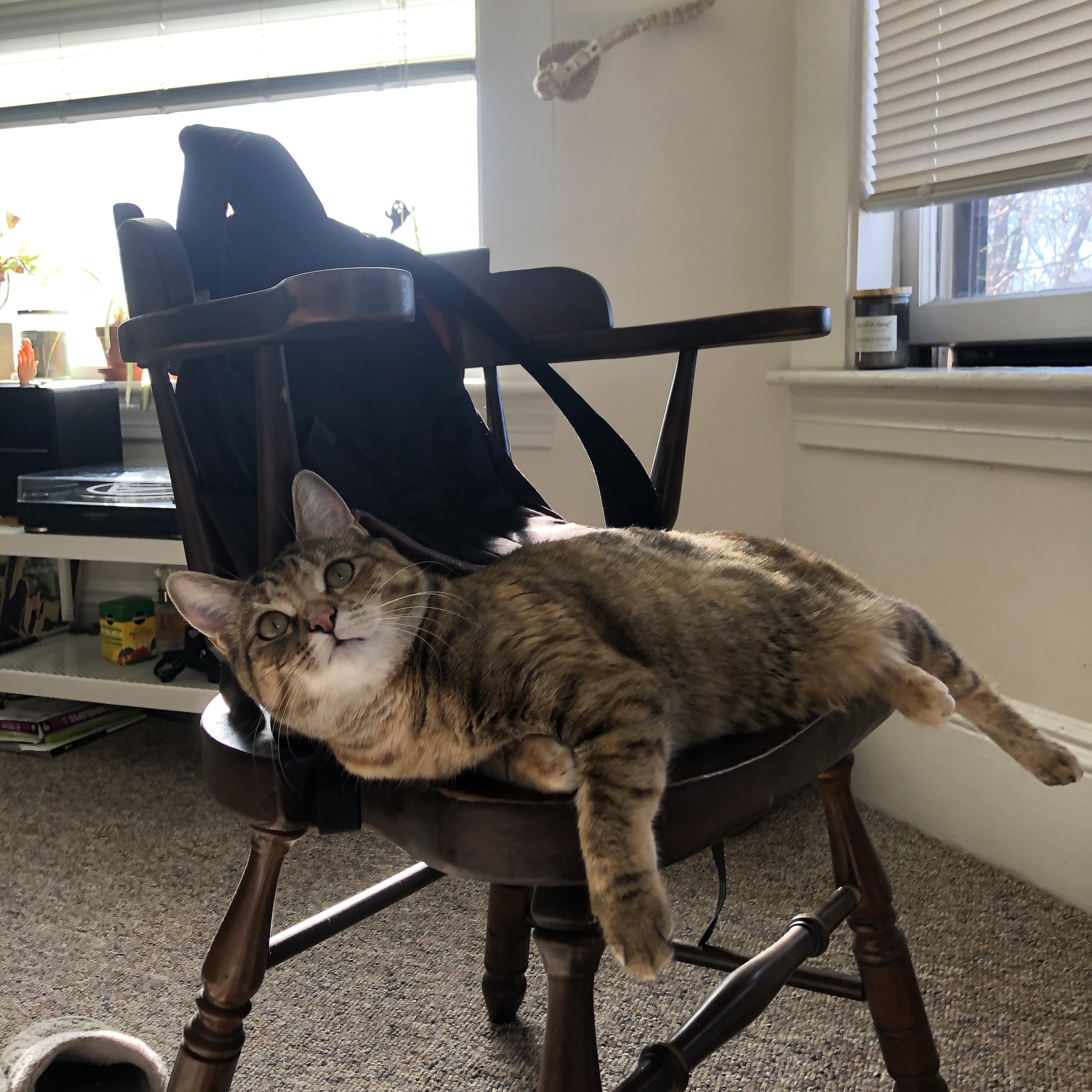 青年才俊:法甲未来之星崭头角