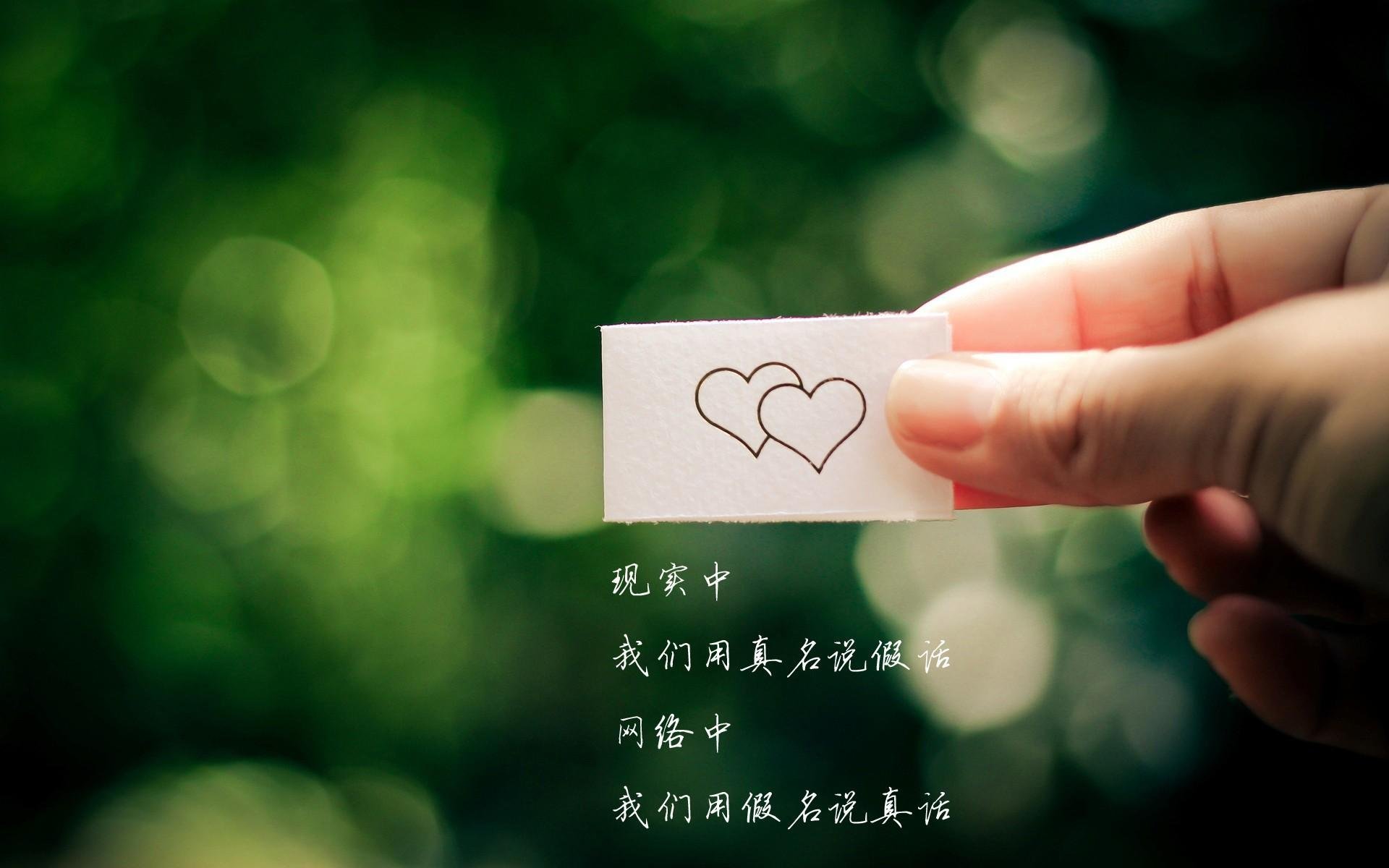 俱乐部冠军杯官网-中国足球的场地草皮管理，正规足球场草坪是真草吗