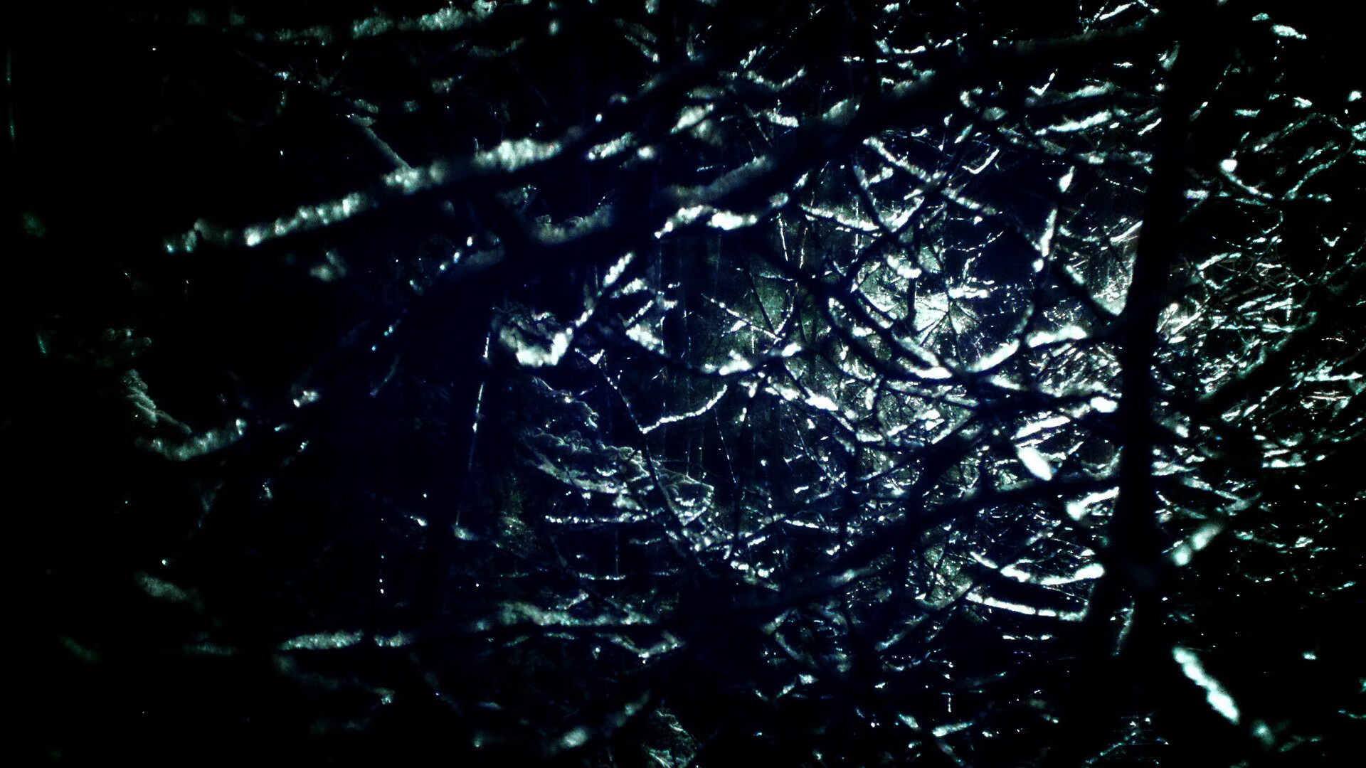 体育教练调整阵容应对密集赛程，体育教练简介照片