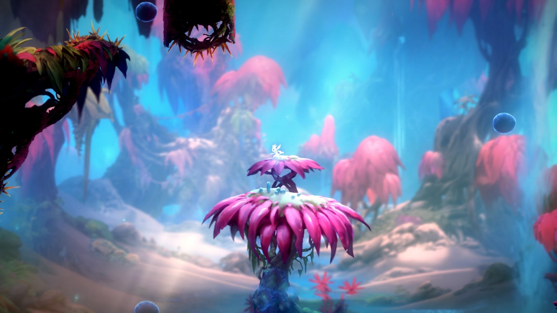 体育教练调整阵容应对密集赛程，体育教练简介照片