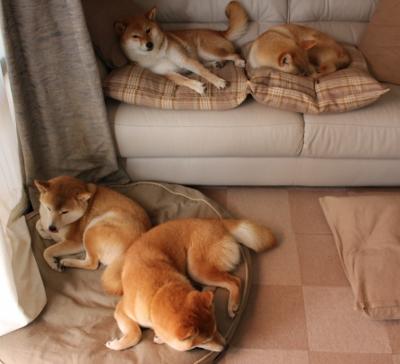 几内亚火力全开唱响胜利之歌，几内亚战况