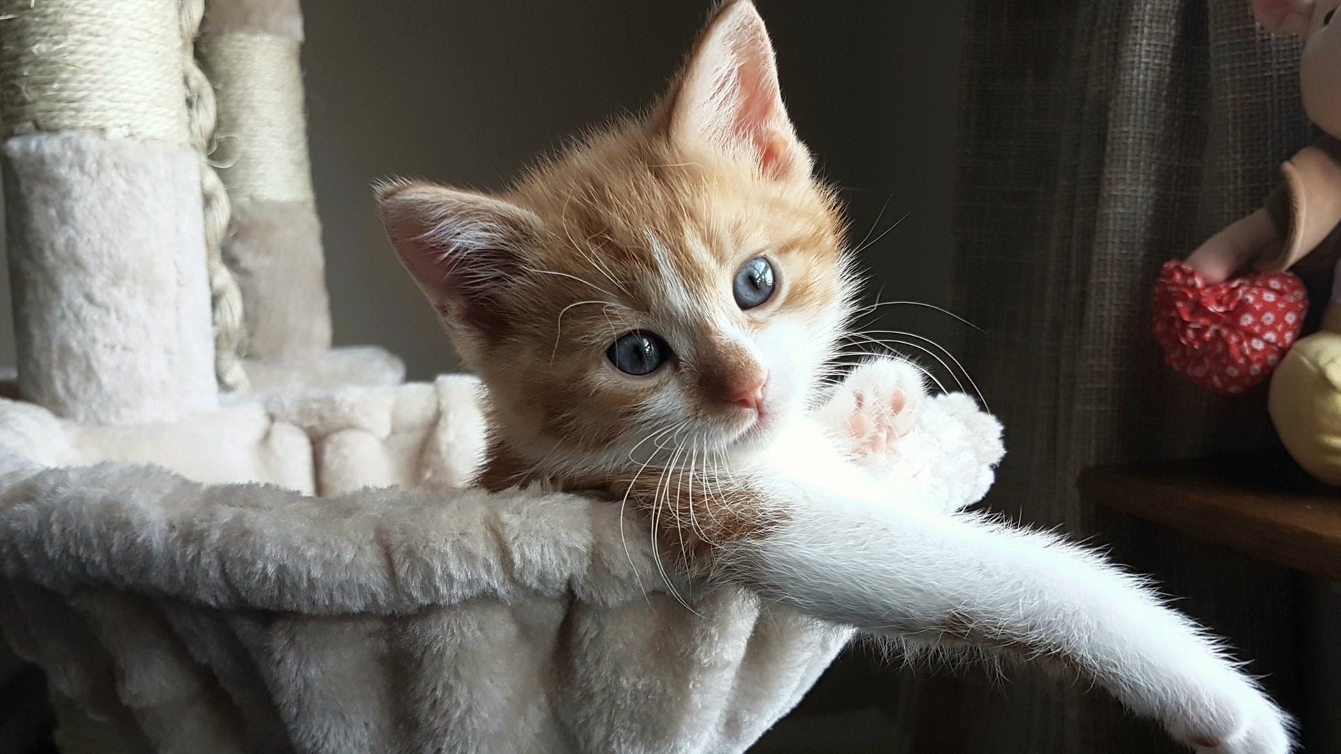 切尔西主场逆转胜曼联,豪取胜利,切尔西主场逆转胜曼联,豪取胜利是哪一年