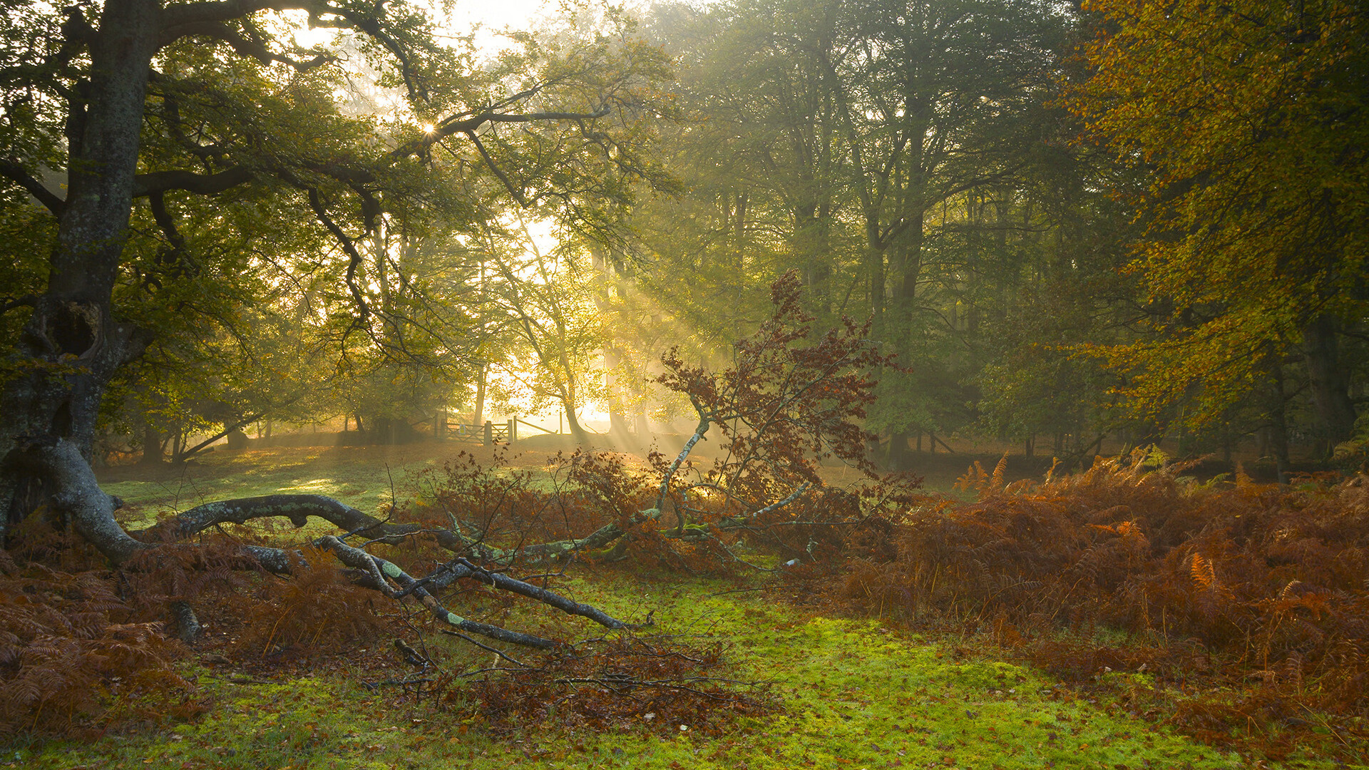 吉达联合遭遇伤病潮影响成绩，吉达是哪里