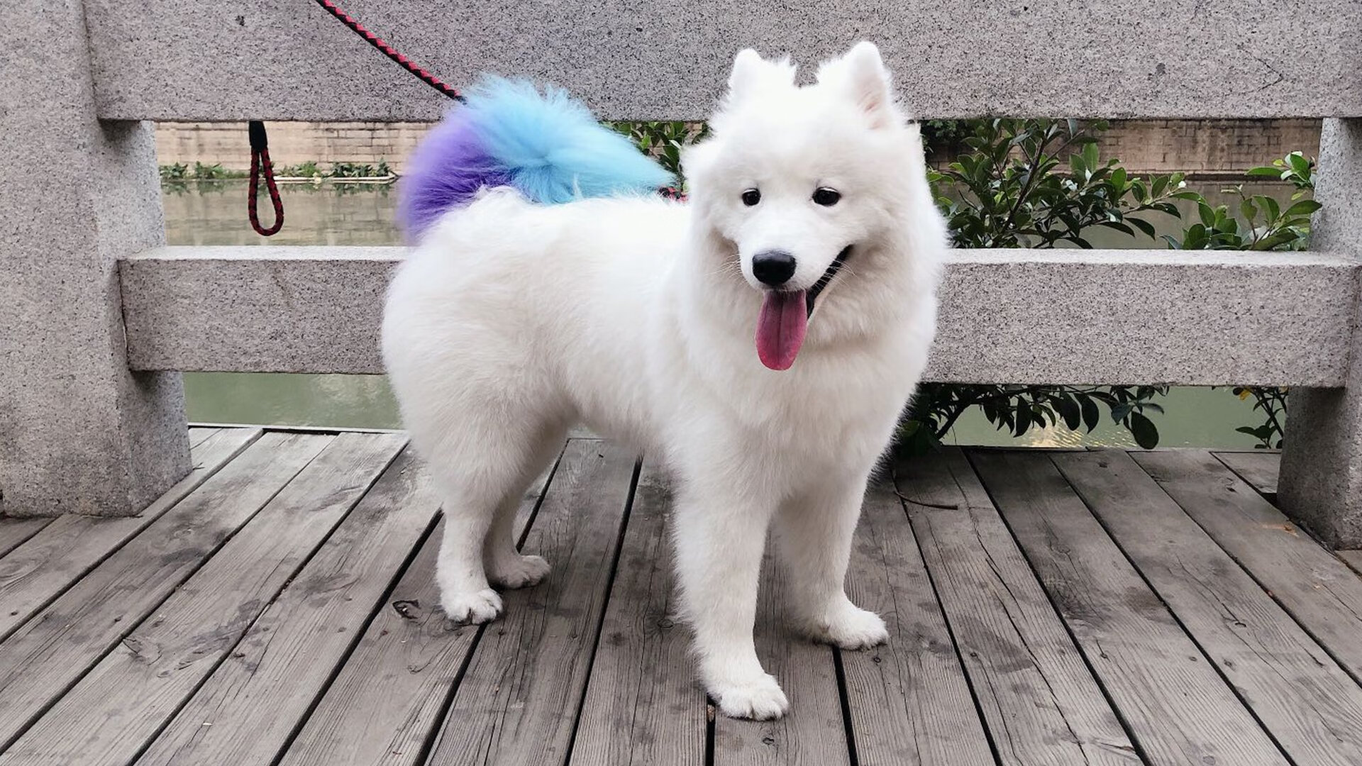 国安抢分无果,永昌客场战胜提前躲离降级区,石家庄永昌 北京国安