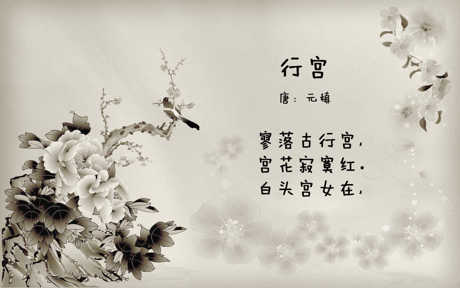 地方足球赛事运营是否具备专业水平,足球运营是什么