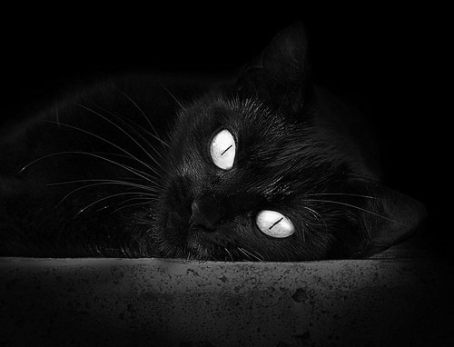 日本队大胜卡塔尔,亚洲杯小组赛表现优异,日本对卡塔尔比赛历史