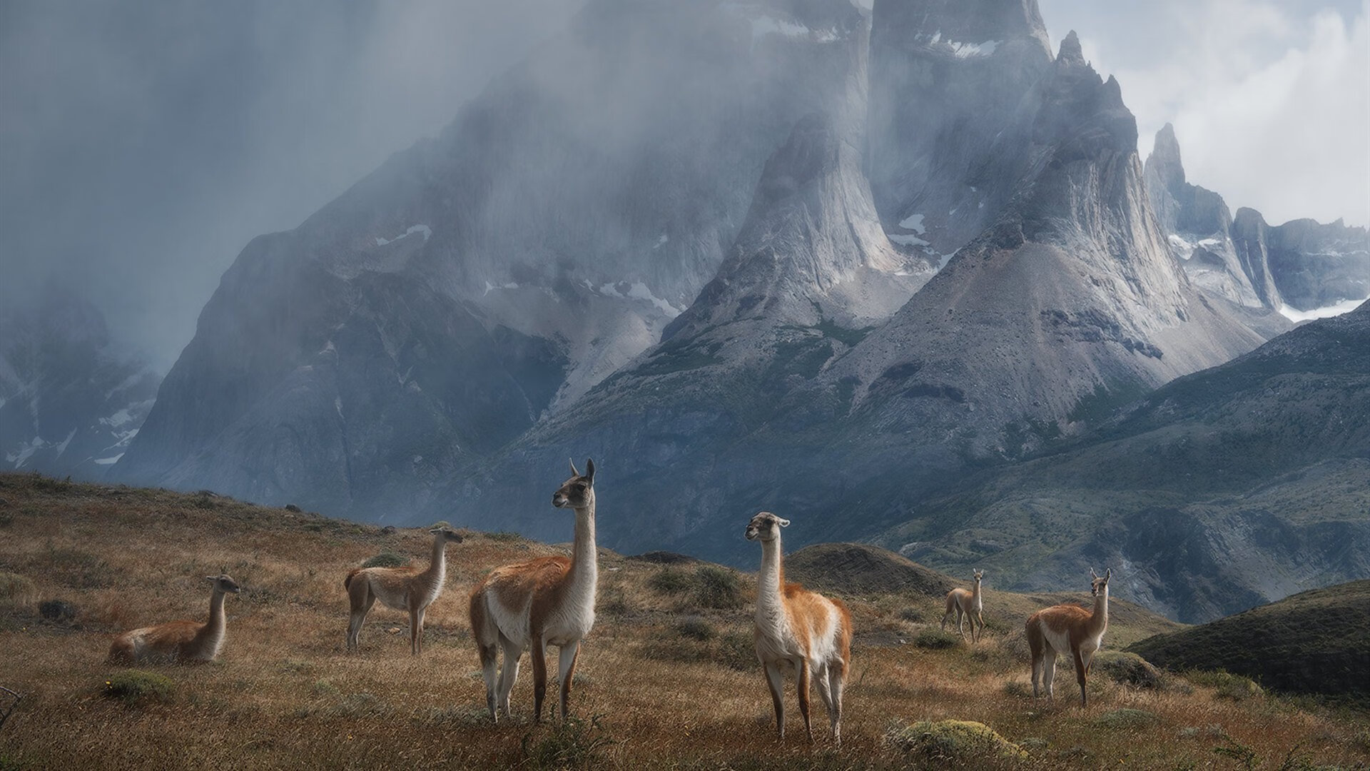 中超外援评分与球队成绩相关性,中超外援实力排名 知乎