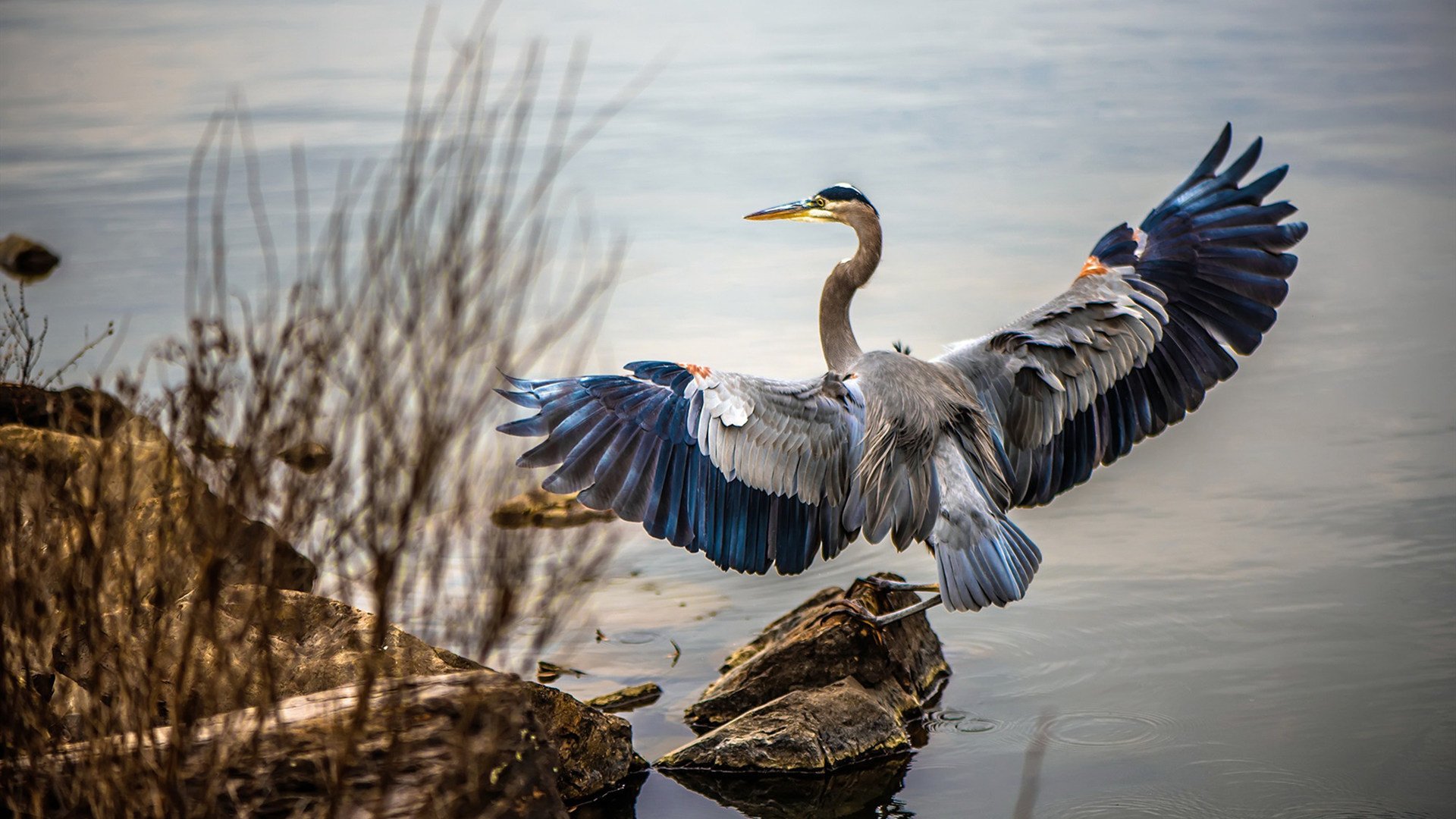 未来足球:技术驱动赛事玩法多元化,未来的足球可能长什么样